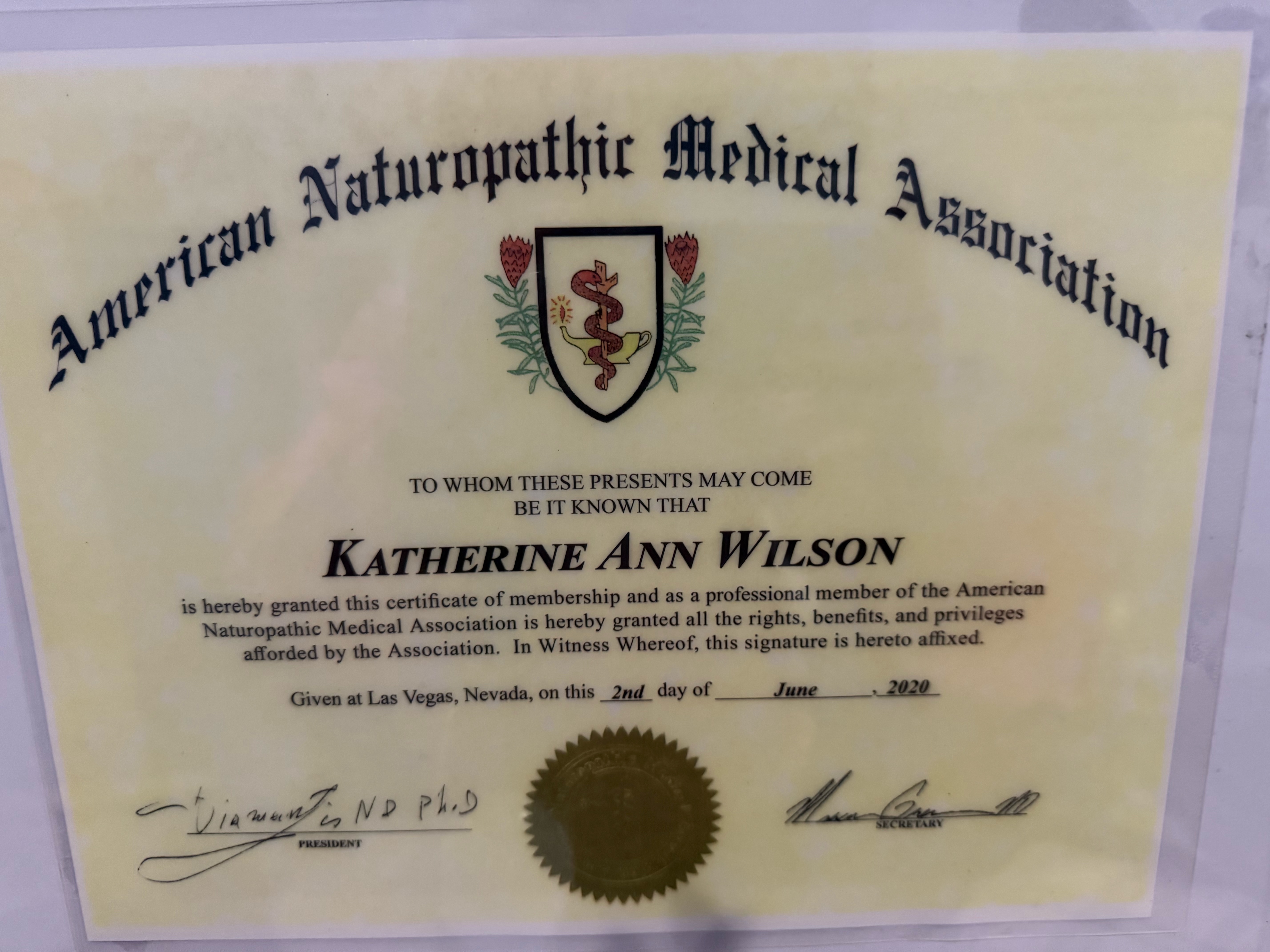 Iridology Certicication